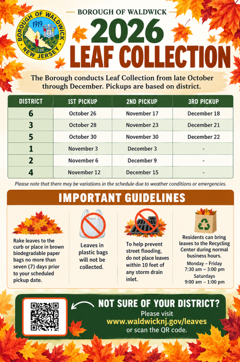 2026 Leaf Collection_468